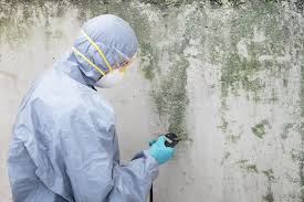 Mold Remediation for Vacation Homes in Tunica, MS